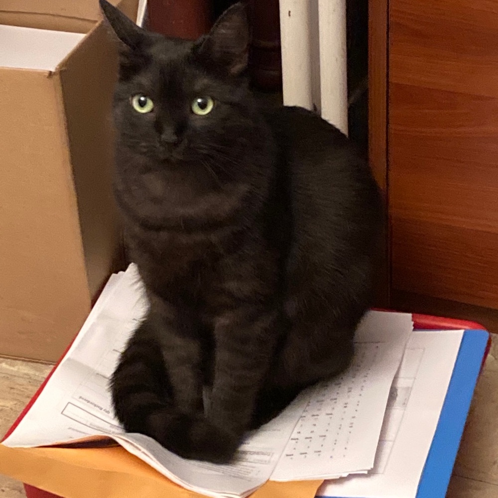 Meet your Posher, Elena